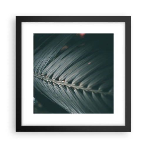 Affiche dans un cadre noir - Poster - Précision de la nature - 30x30 cm