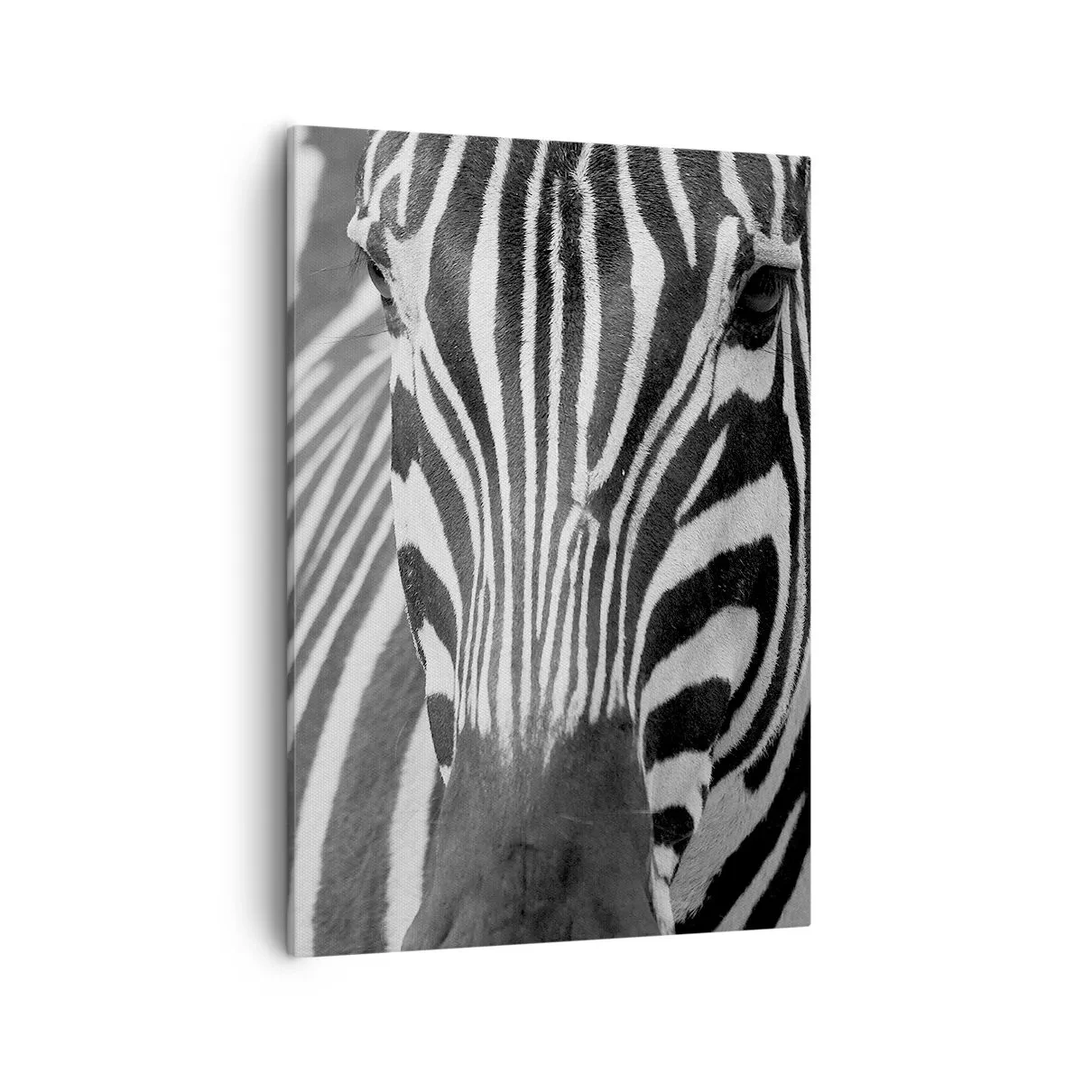 Impression sur toile - Image sur toile - Gros plan noir et blanc d'un zèbre avec ses rayures distinctives. - 50x70cm - Le monde est noir et blanc - Décoration murale moderne pour le salon et la chambre ARTTOR