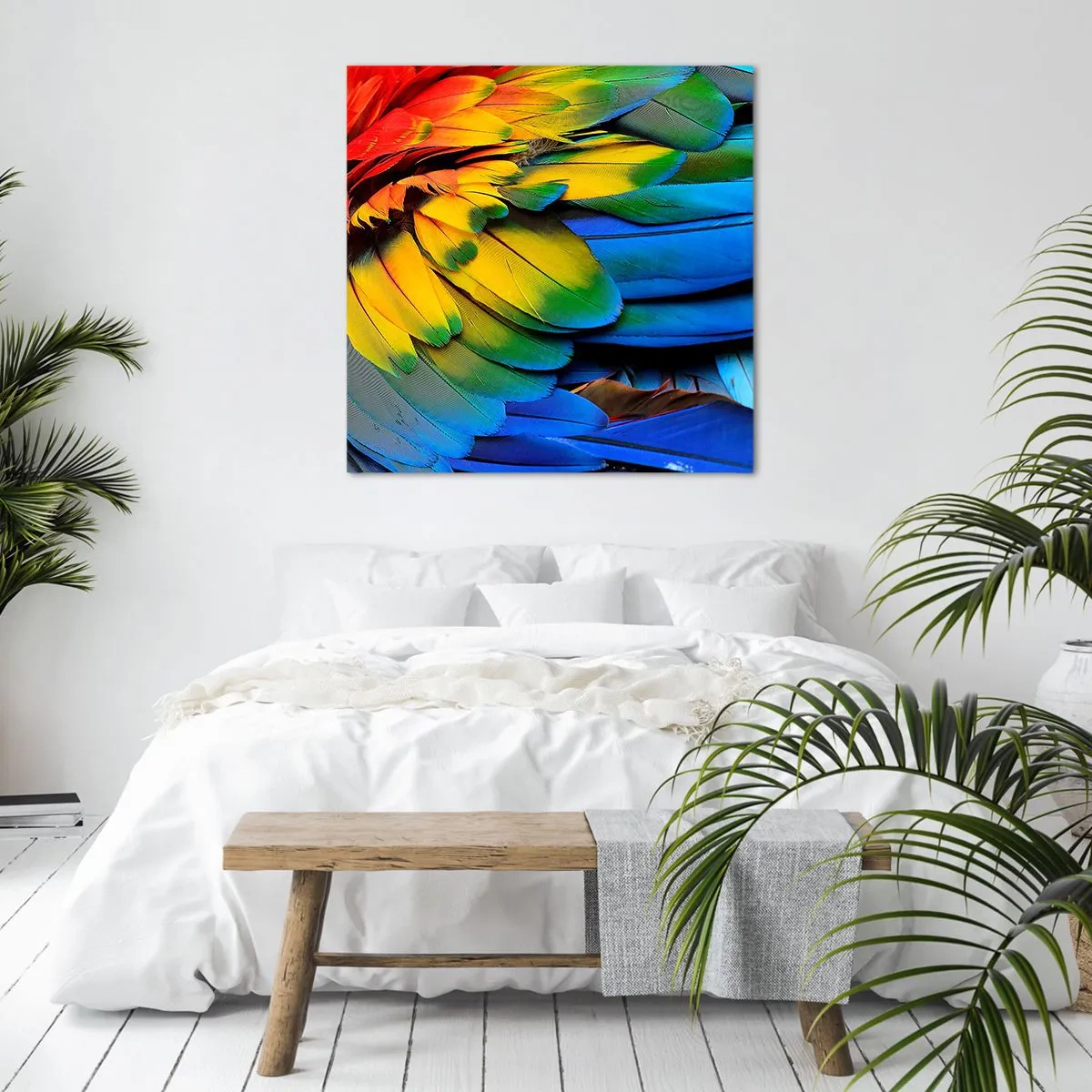 Impression sur toile - Image sur toile - Oiseau de paradis - 60x60 cm