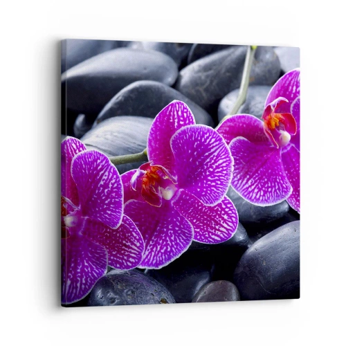 Impression sur toile - Image sur toile - Les pierres brillaient de joie - 30x30 cm