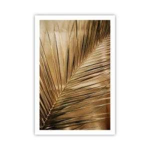 Affiche - Poster - Colonnade naturelle - 61x91 cm