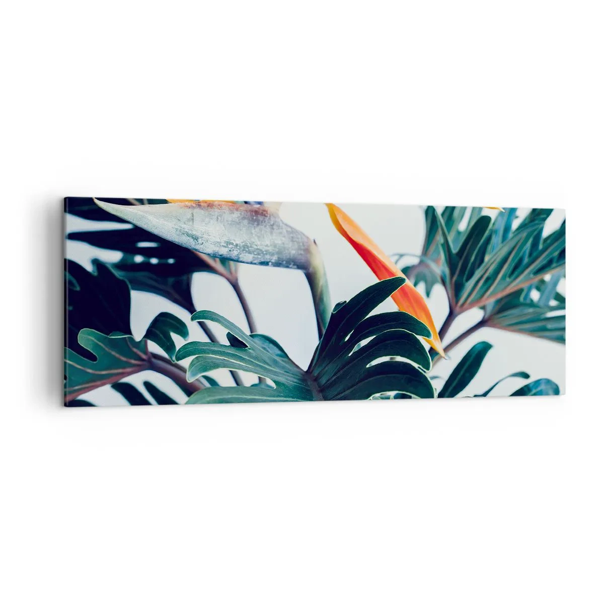 Impression sur toile - Image sur toile - Fleur de Strelitzia entourée de feuilles sous une lumière vive - 140x50cm - Le buisson oiseaux - Décoration murale moderne pour le salon et la chambre ARTTOR