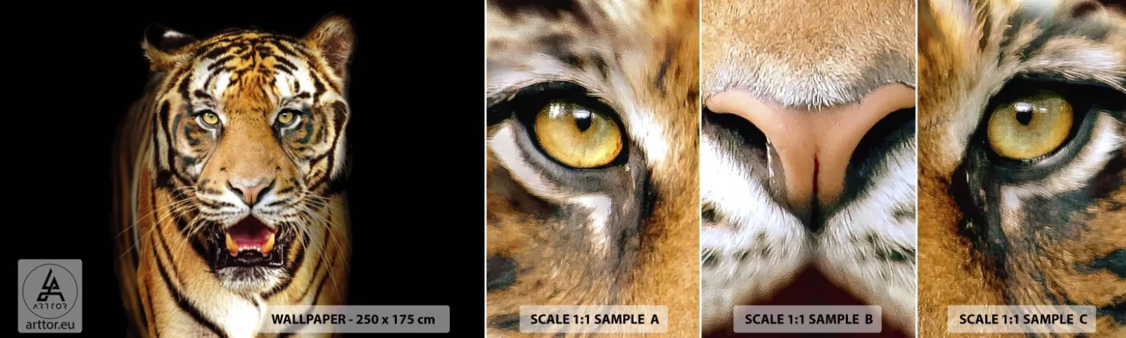 Échantillon De Papier Peint Standard Eco - Le coeur sauvageon - Animaux, Tigre, Prédateur - 100x30 cm