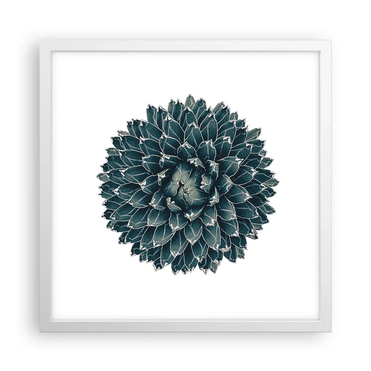 Affiche dans un cadre blanc - Poster - Étoile du désert - 40x40 cm