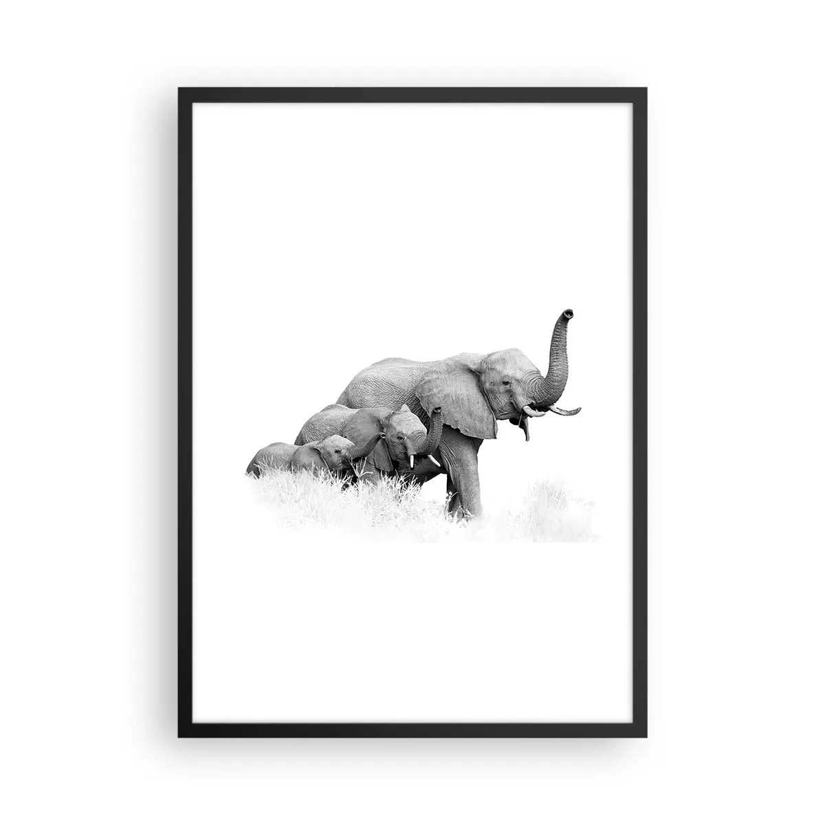 Affiche dans un cadre noir - Poster - Portrait en noir et blanc d'une famille d'éléphants dans la savane. - 50x70cm - Un, deux, trois - Décoration murale moderne pour le salon et la chambre ARTTOR