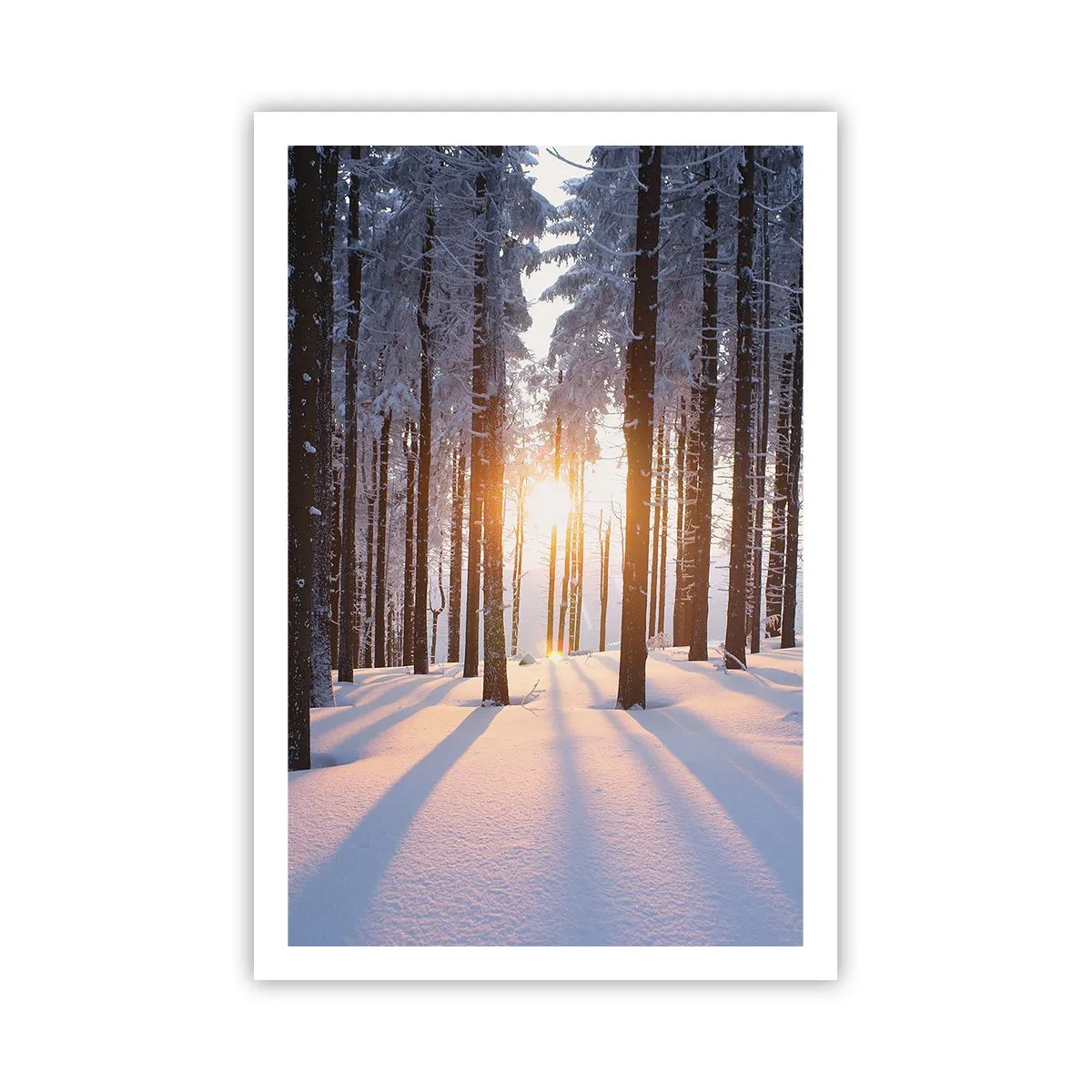 Affiche - Poster - Clairement en noir et blanc - 61x91 cm