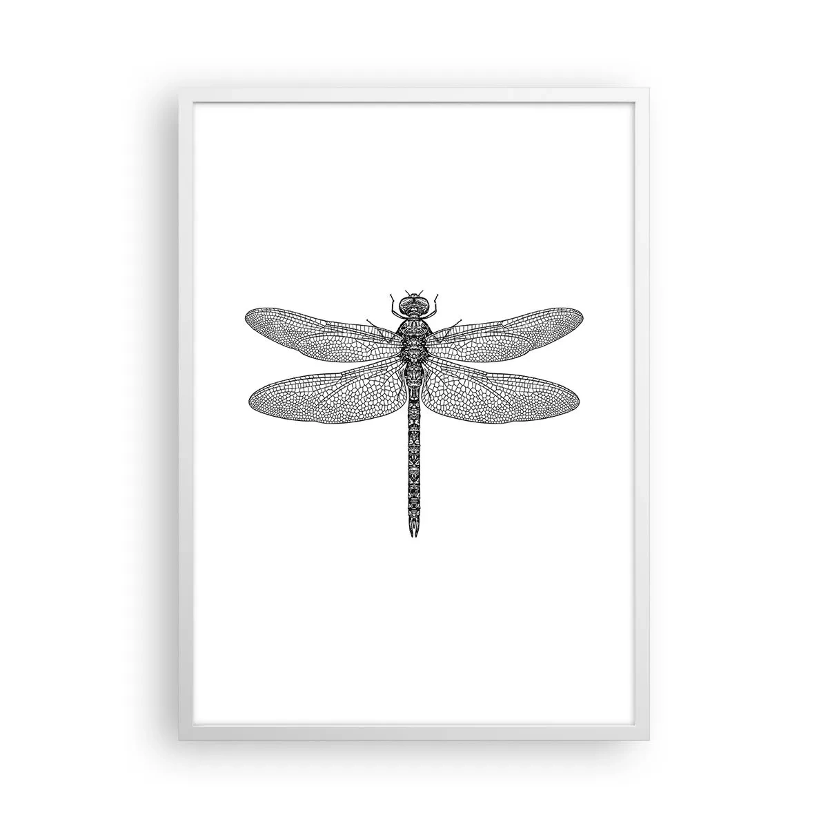 Affiche dans un cadre blanc - Poster - Précision de la nature - 50x70 cm