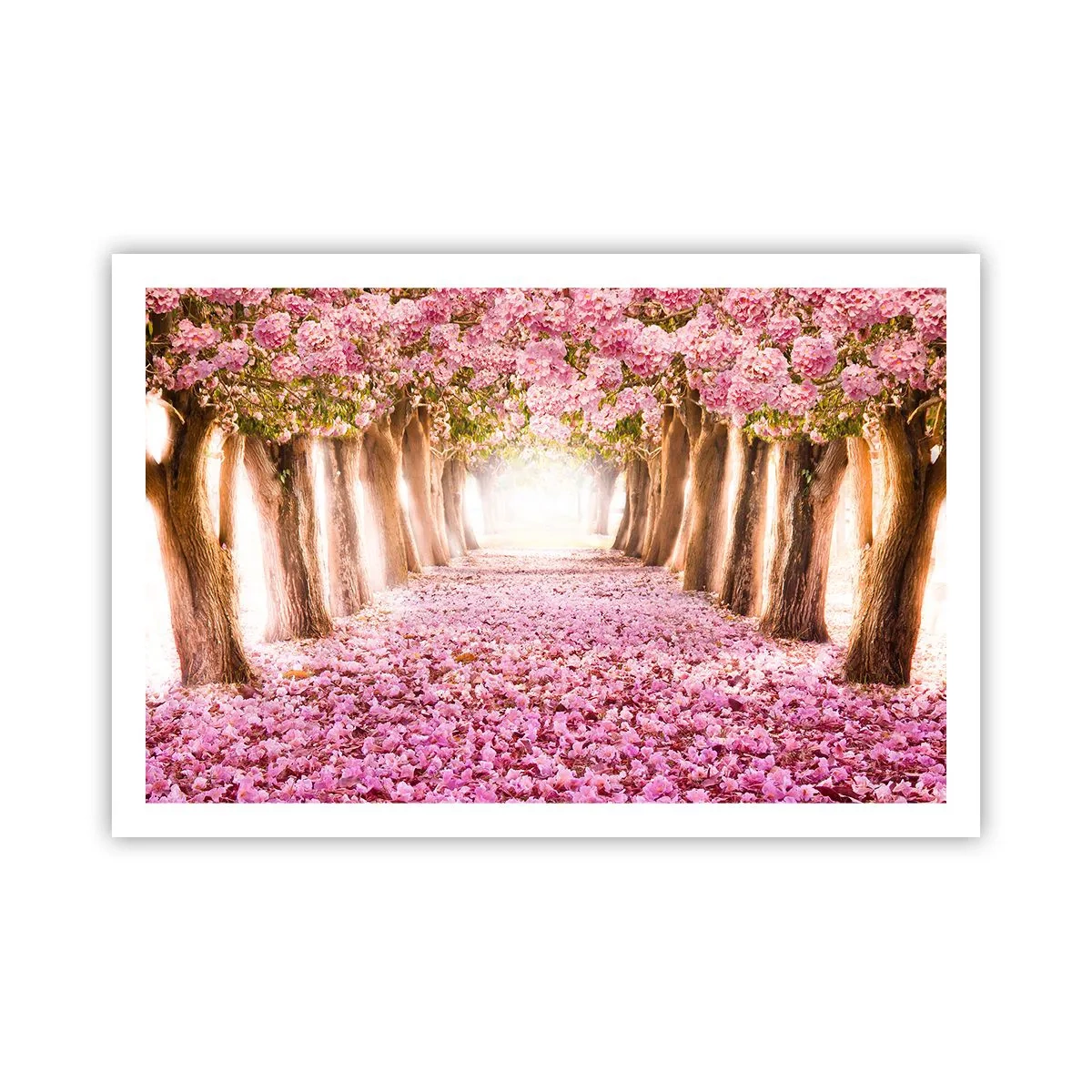 Affiche - Poster - La route du paradis - 91x61 cm
