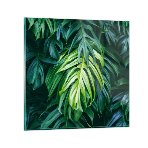 Impression sur verre - Image sur verre - Immergez-vous dans la fraîcheur - 40x40 cm