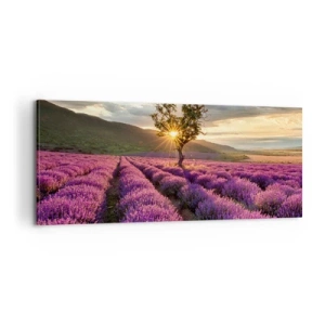 Impression sur toile - Image sur toile - Arôme de couleur lilas - 100x40 cm