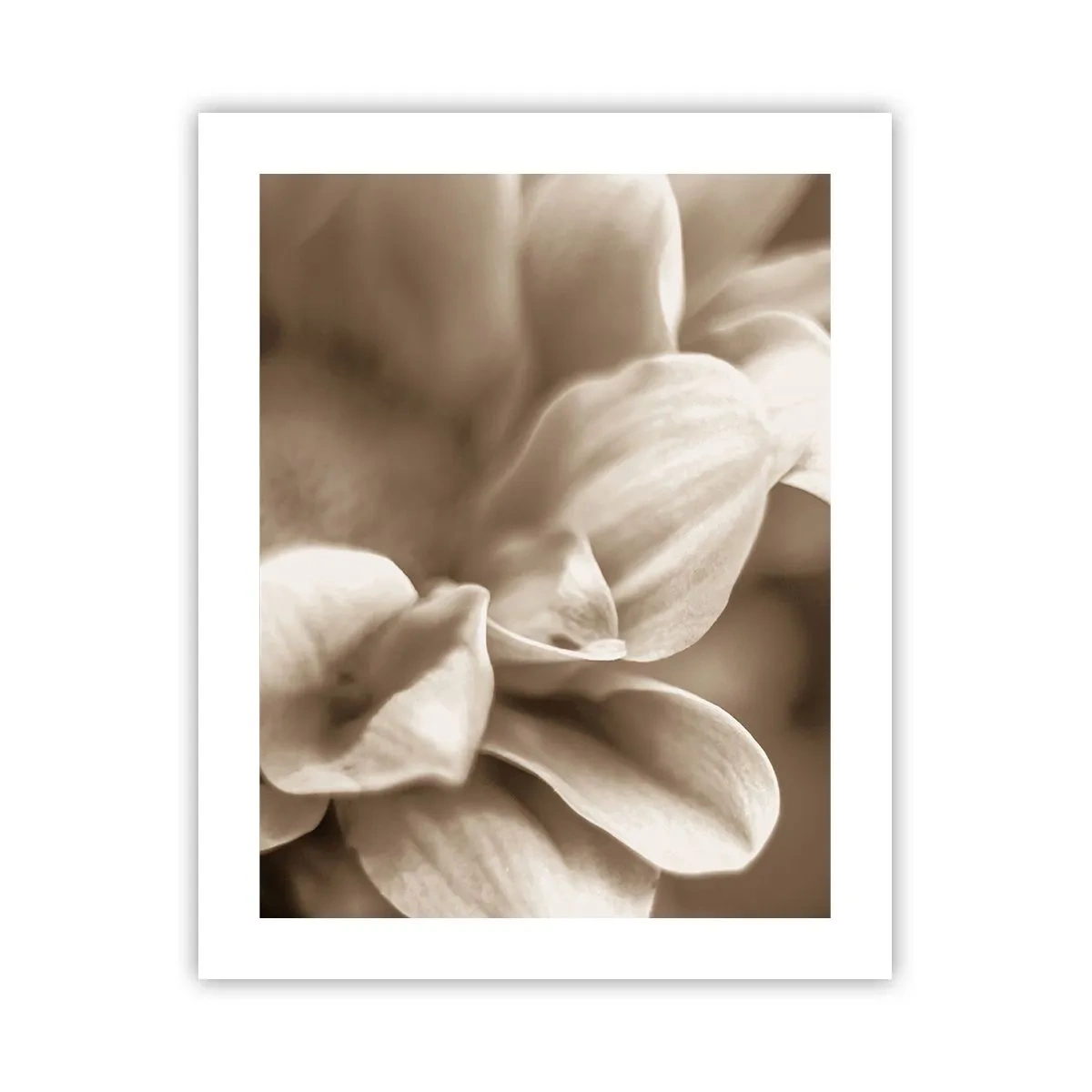 Affiche - Poster - Doux comme un sourire - 40x50 cm