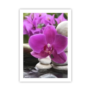 Affiche - Poster - Une orchidée violette sur un fond de pierres dans un arrangement harmonieux - 50x70cm - Tu te reposes déjà - Décoration murale moderne pour le salon et la chambre ARTTOR