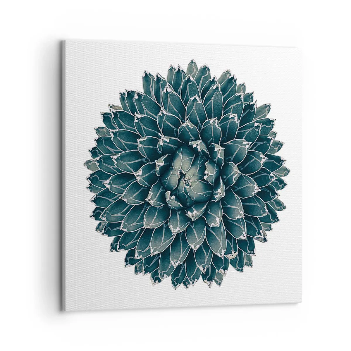 Impression sur toile - Image sur toile - Étoile du désert - 50x50 cm