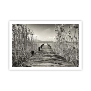 Affiche - Poster - Dans le calme de l'herbe - 91x61 cm