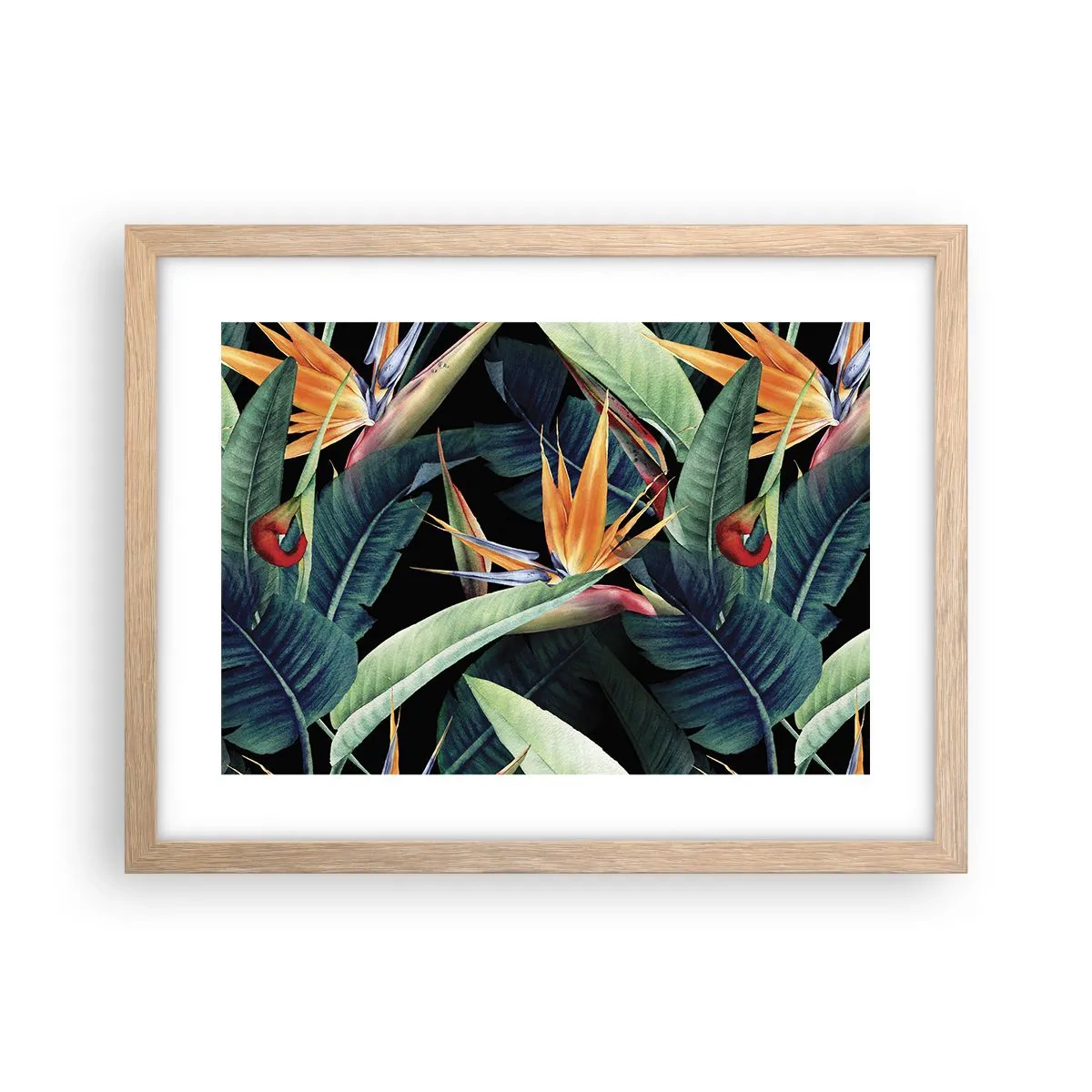 Affiche dans un chêne clair - Poster - Fleurs flamboyantes des tropiques - 40x30 cm