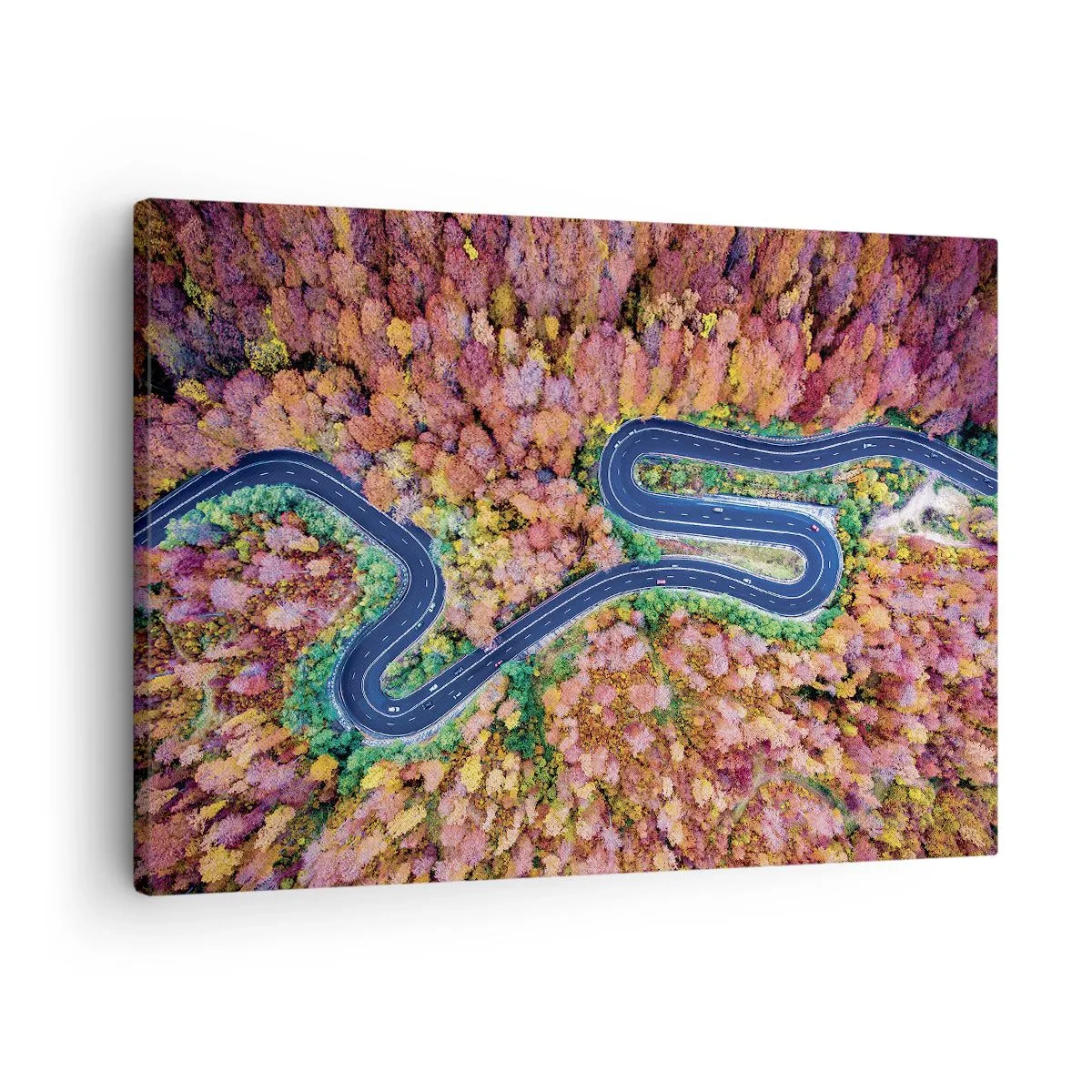 Impression sur toile - Image sur toile - Une route sinueuse dans une forêt d'automne vue à vol d'oiseau - 70x50cm - Route sinueuse à travers la forêt - Décoration murale moderne pour le salon et la chambre ARTTOR