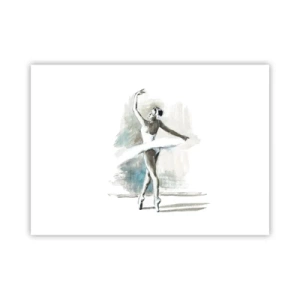 Affiche - Poster - Enchantement du cygne - 70x50 cm