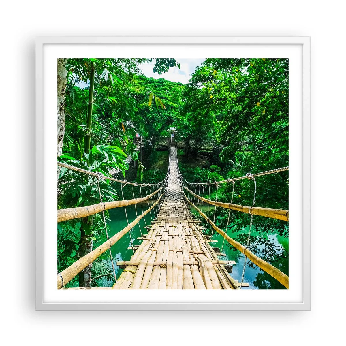 Affiche dans un cadre blanc - Poster - Pont de singe en pleine nature - 60x60 cm