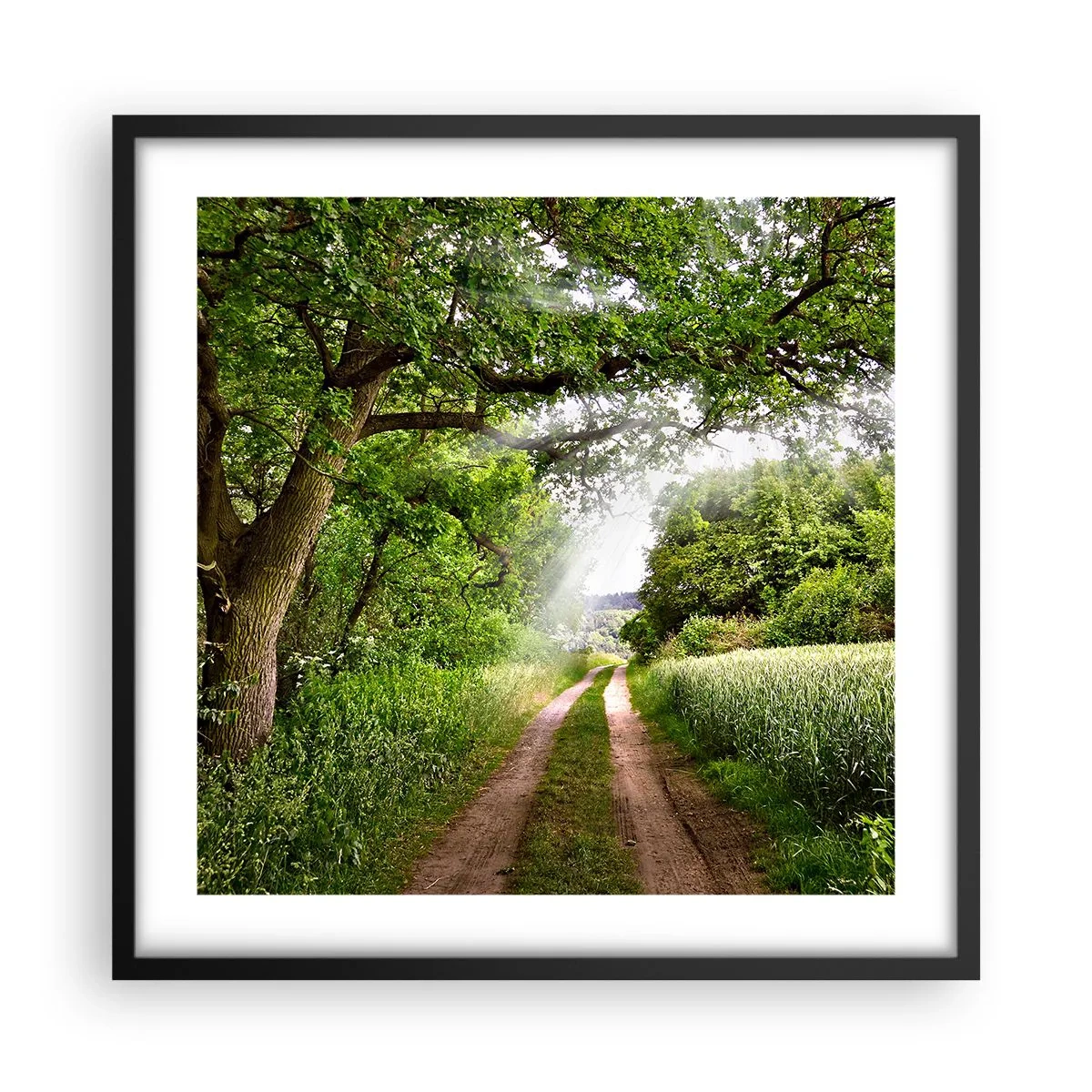 Affiche dans un cadre noir - Poster - Et in Arcadia ego - 50x50 cm