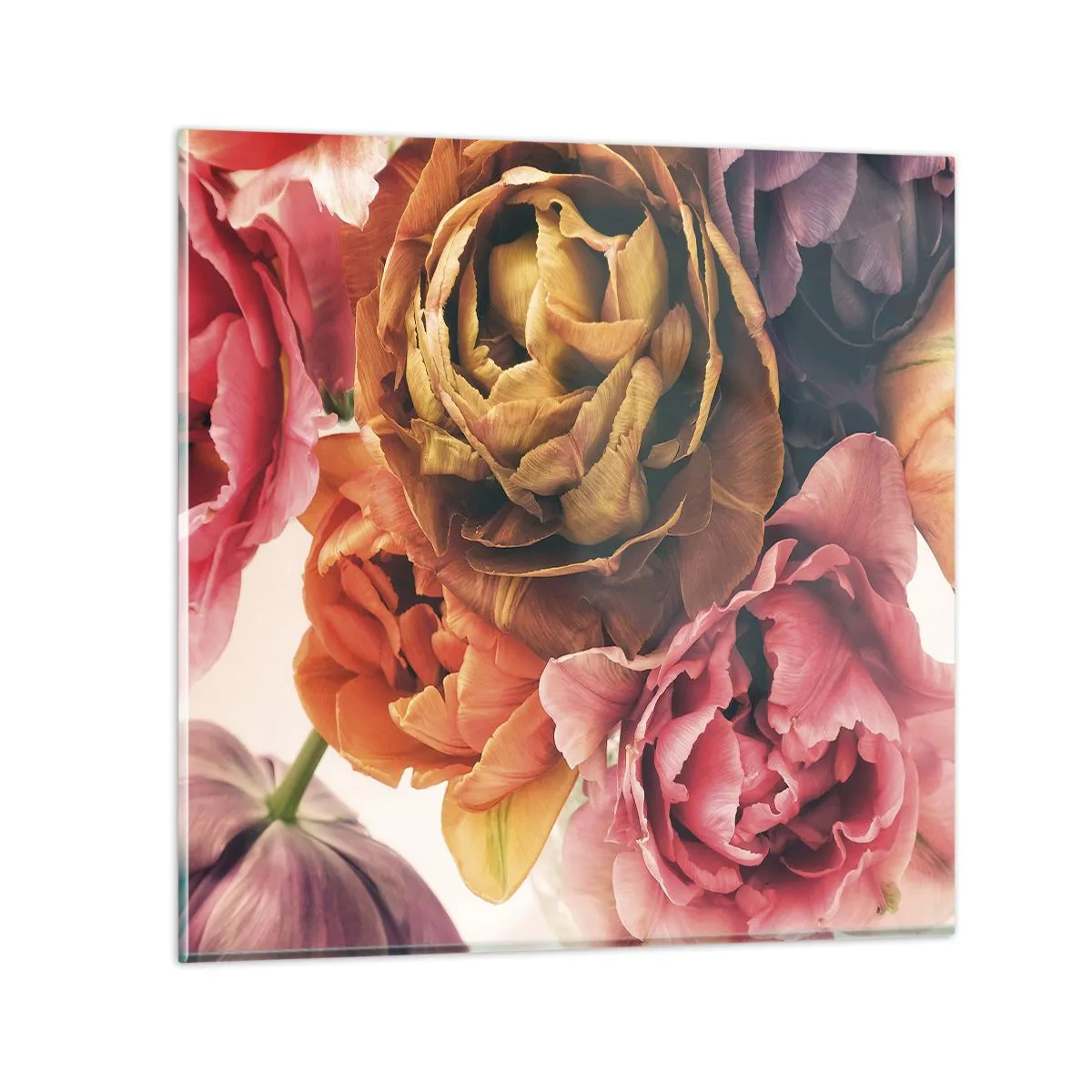 Impression sur verre - Image sur verre - La fête de la vie - 40x40 cm