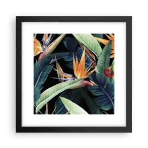 Affiche dans un cadre noir - Poster - Fleurs flamboyantes des tropiques - 30x30 cm