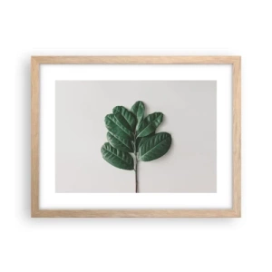 Affiche dans un chêne clair - Poster - Dessin de la nature elle-même - 40x30 cm