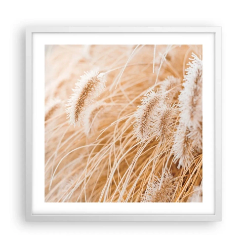 Affiche dans un cadre blanc - Poster - Le bruissement doré de l'herbe - 50x50 cm