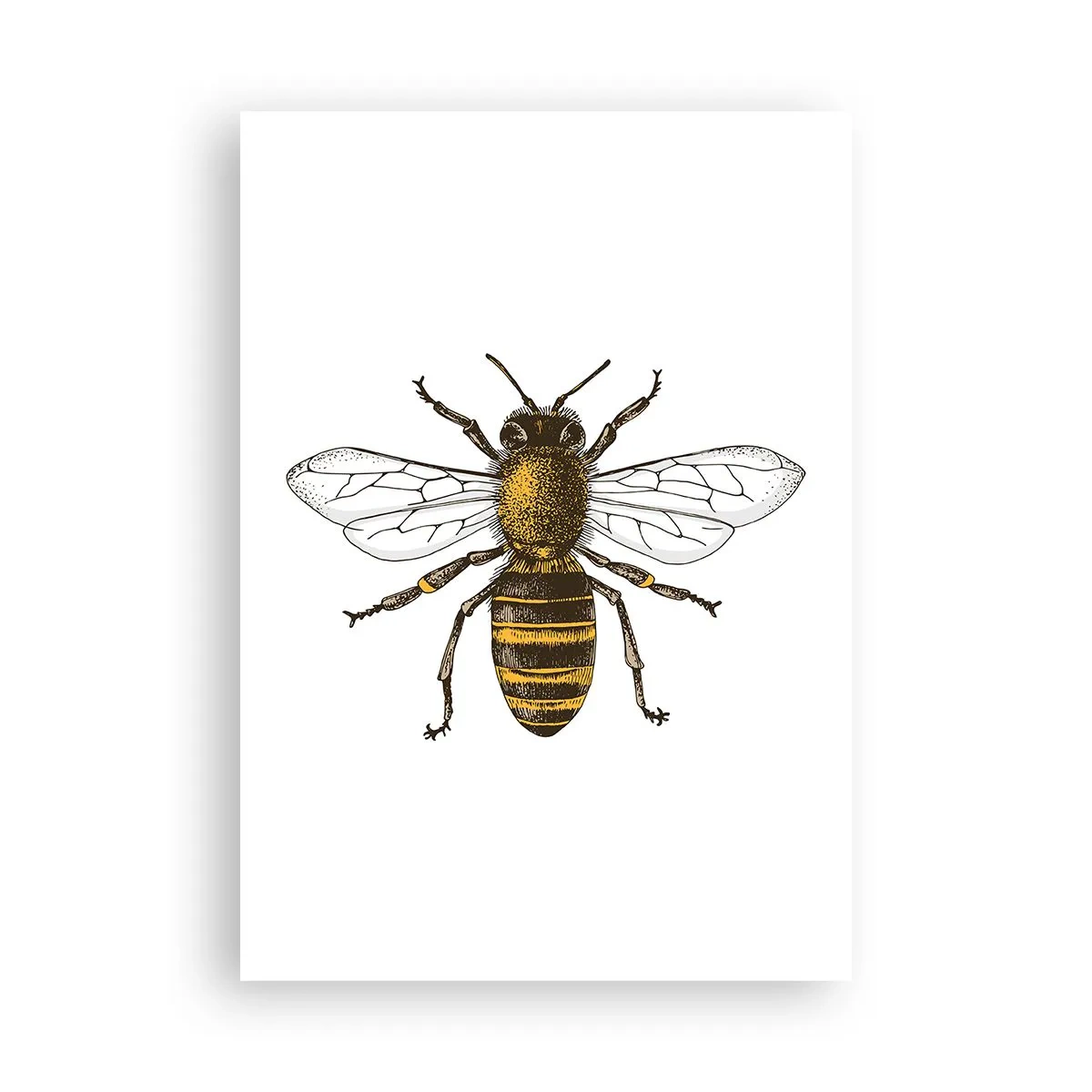 Affiche - Poster - Belle et bonne - 70x100 cm