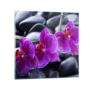 Impression sur verre - Image sur verre - Les pierres brillaient de joie - 30x30 cm