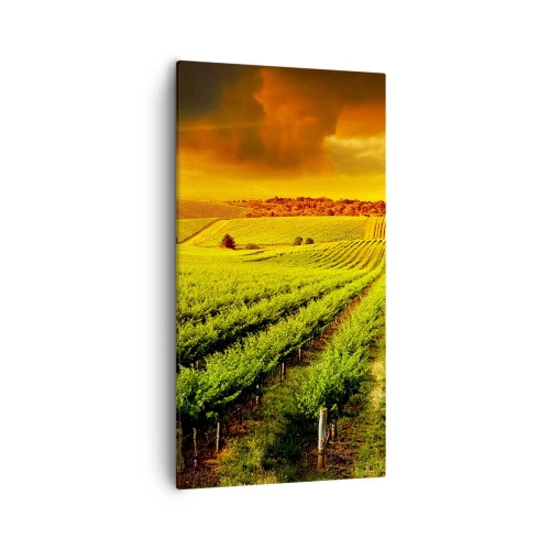 Impression sur toile - Image sur toile - Sous le soleil australien - 55x100 cm