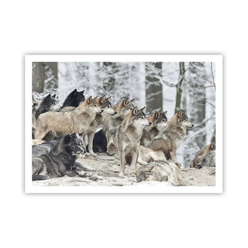 Affiche - Poster - Une meute de loups dans la forêt d'hiver - 100x70cm - Famille et amis - Décoration murale moderne pour le salon et la chambre ARTTOR