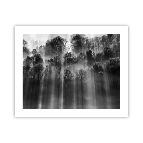 Affiche - Poster - Dans les flots de lumière - 50x40 cm