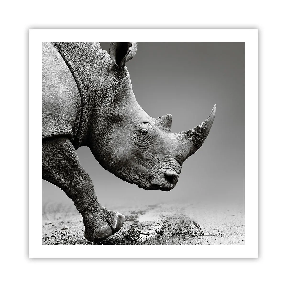 Affiche - Poster - Force inarrêtable - 60x60 cm