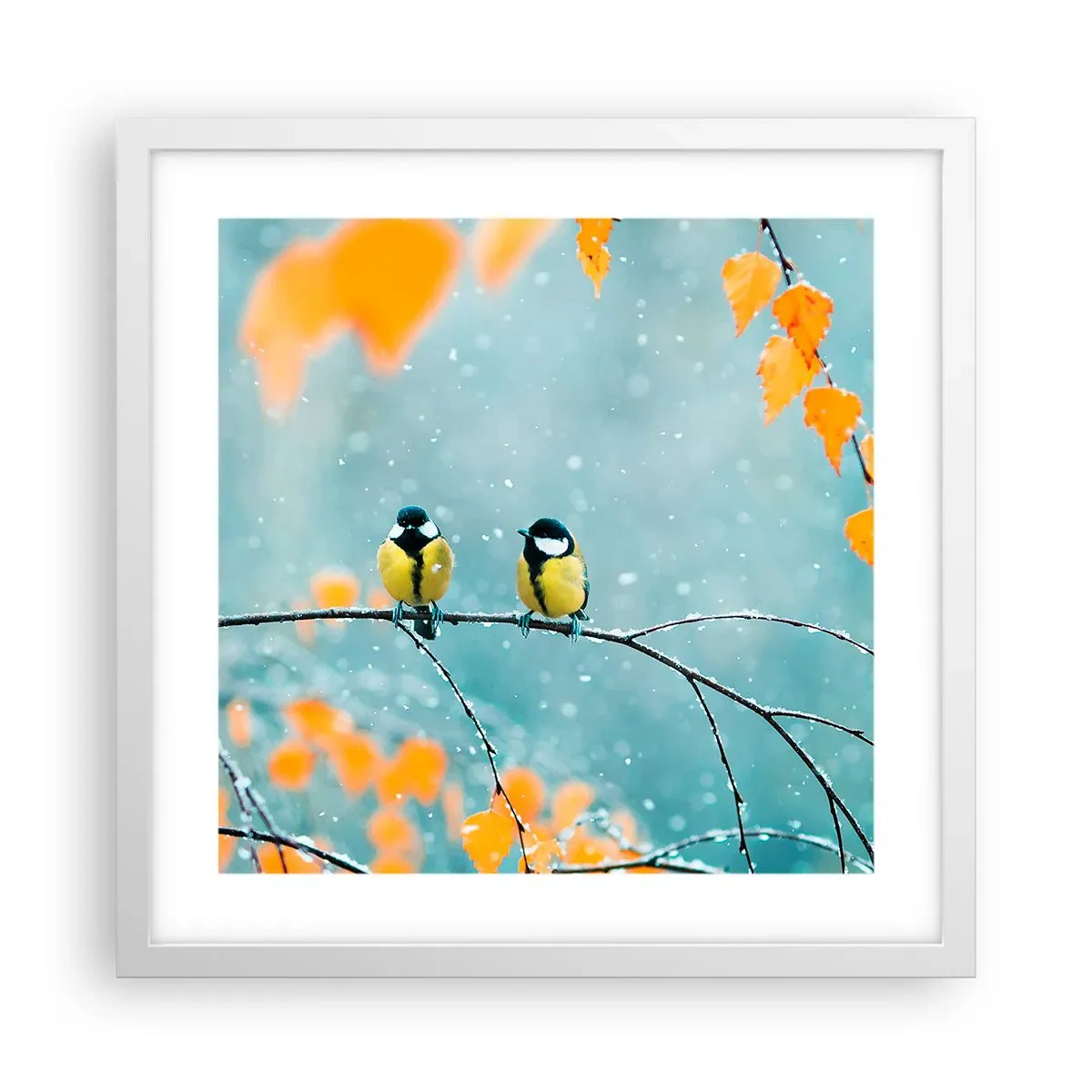 Affiche dans un cadre blanc - Poster - Potins d'oiseaux - 40x40 cm