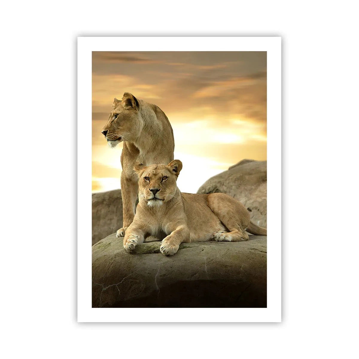 Affiche - Poster - Deux lionnes contre le soleil couchant - 50x70cm - Majesté royale - Décoration murale moderne pour le salon et la chambre ARTTOR