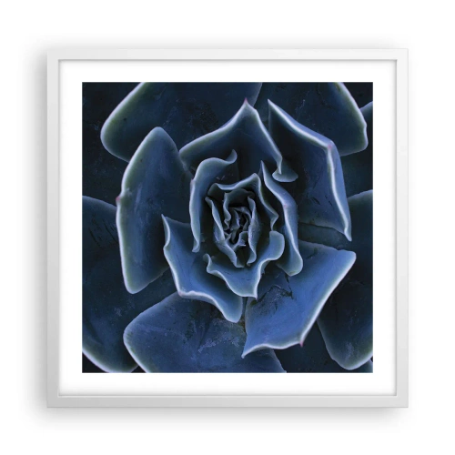 Affiche dans un cadre blanc - Poster - Fleur du désert - 50x50 cm