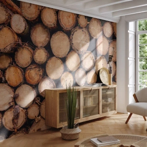 Papier Peint Photo Premium Sand - Troncs d'arbres disposés en coupe transversale - 100x70cm - Nouveau commencement - Décoration murale moderne pour le salon et la chambre ARTTOR