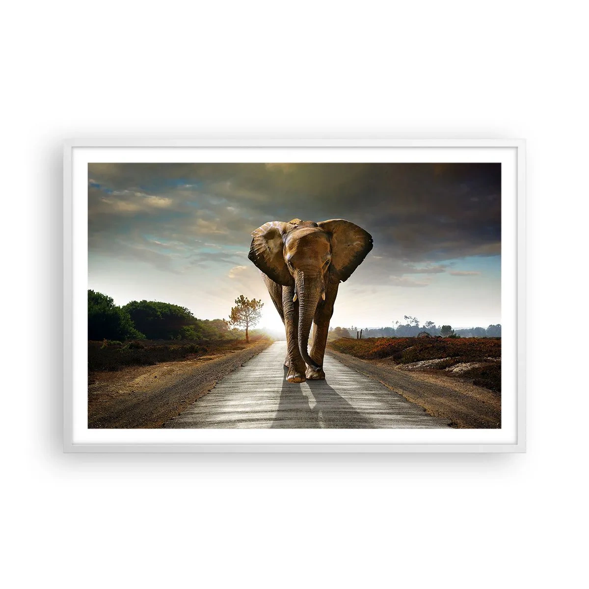 Affiche dans un cadre blanc - Poster - Et pas du tout en porcelaine - 91x61 cm