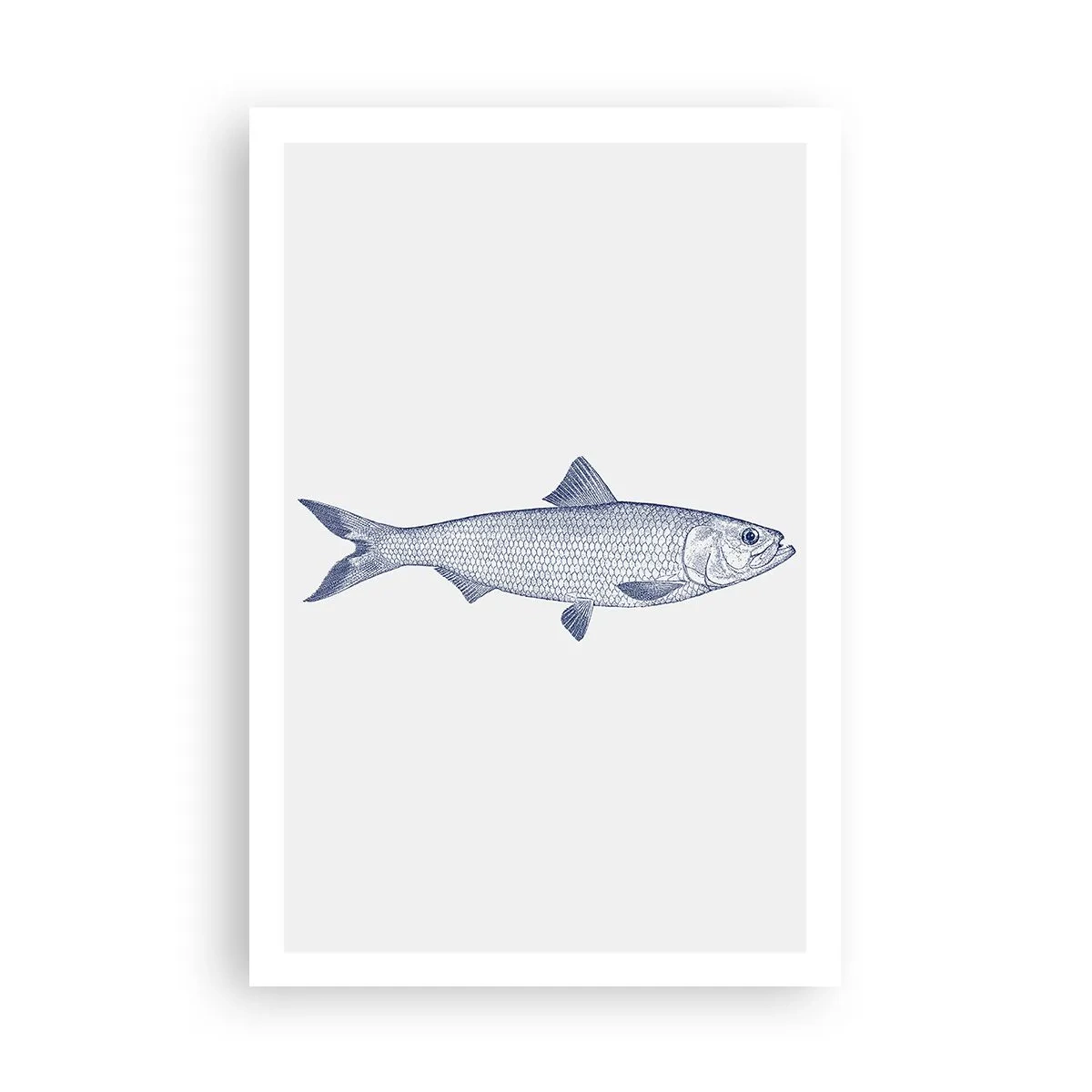 Affiche - Poster - Salutations des mers du nord - 61x91 cm