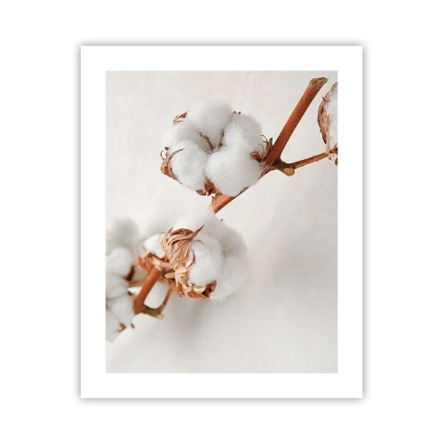 Affiche - Poster - Seulement caliner - 40x50 cm