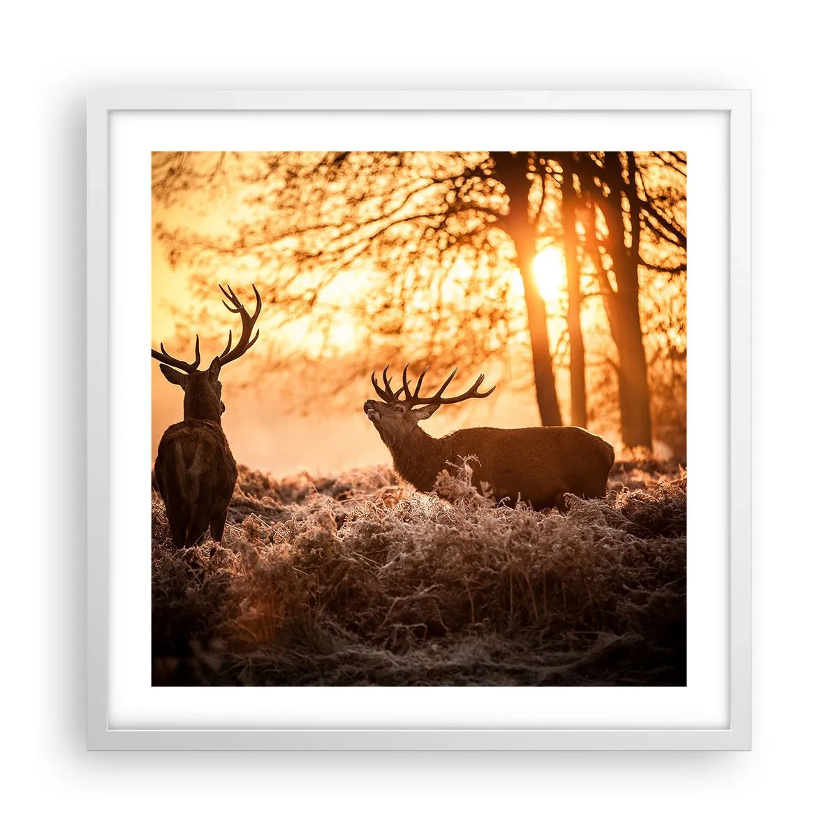 Affiche dans un cadre blanc - Poster - Le rêve d'un chasseur - 50x50 cm