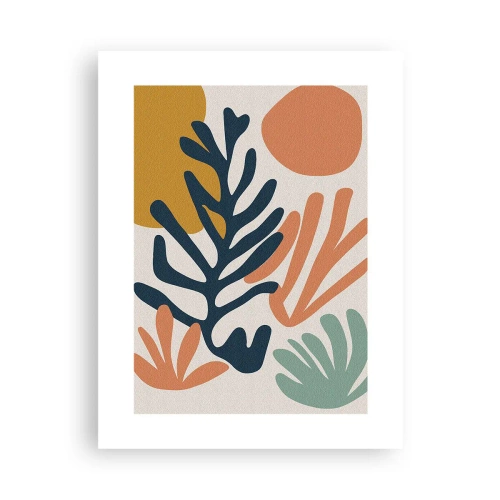 Affiche - Poster - Mers de corail - 30x40 cm