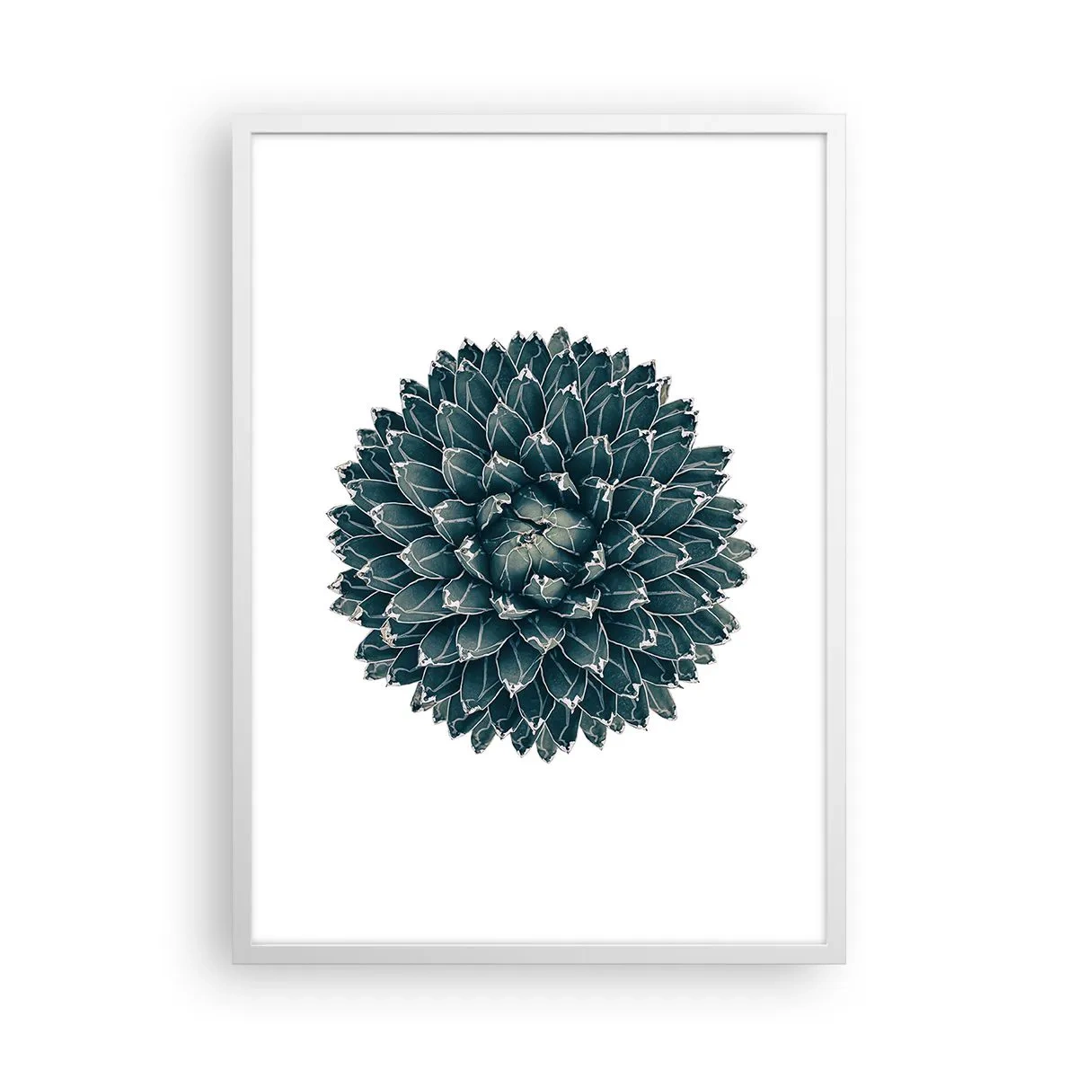 Affiche dans un cadre blanc - Poster - Étoile du désert - 50x70 cm