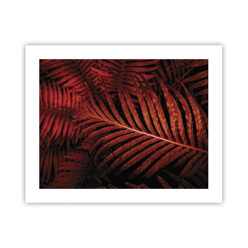 Affiche - Poster - Chaleur de la vie - 50x40 cm