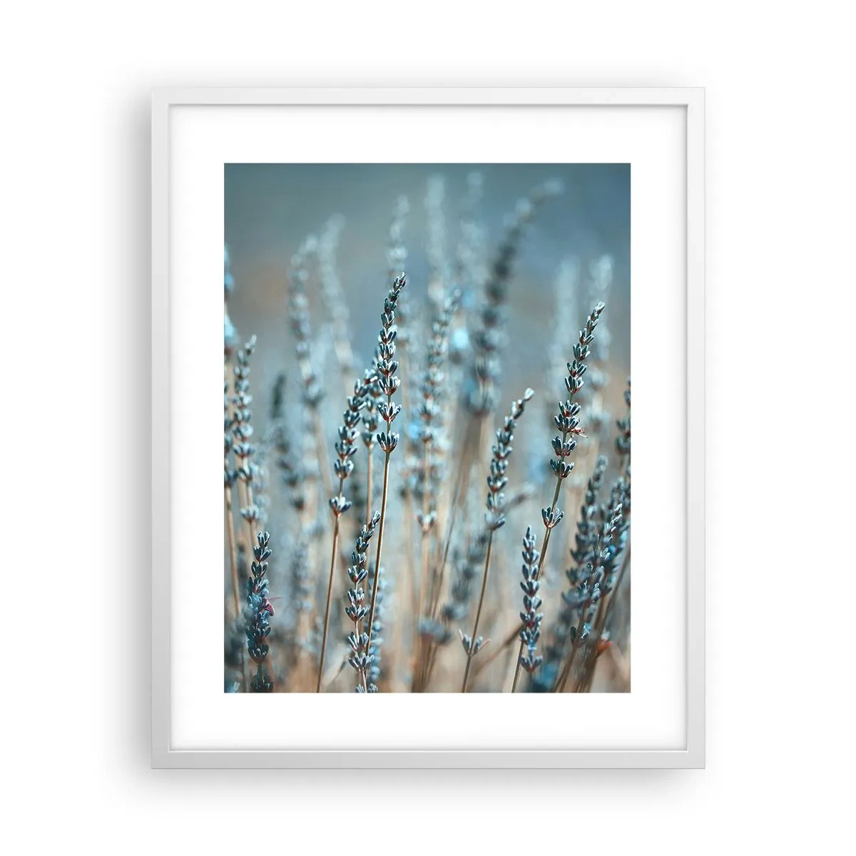 Affiche dans un cadre blanc - Poster - Tige odorante - 40x50 cm