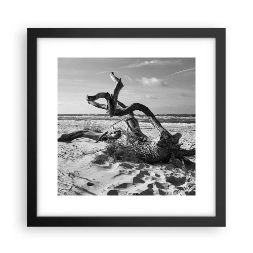 Affiche dans un cadre noir - Poster - Sculpture marine - 30x30 cm