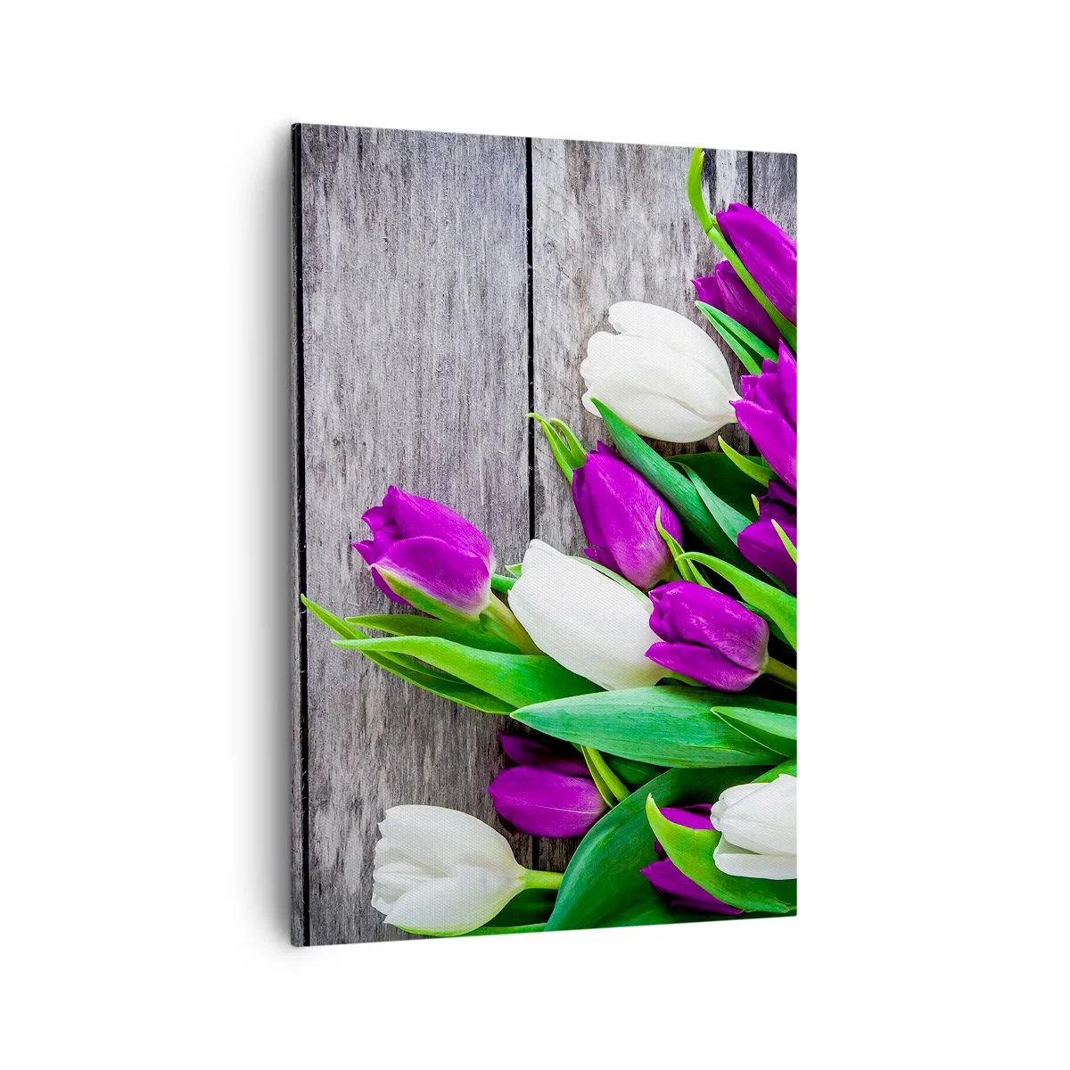 Impression sur toile - Image sur toile - Un bouquet de tulipes violettes et blanches sur un fond en bois - 70x100cm - Le jour des vacances de printemps - Décoration murale moderne pour le salon et la chambre ARTTOR