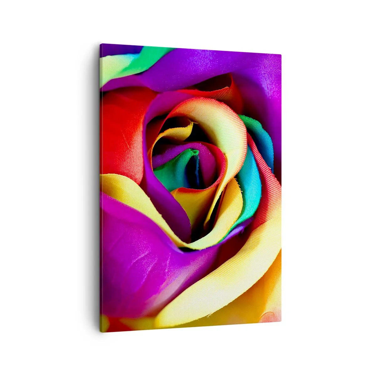 Impression sur toile - Image sur toile - Une rose colorée aux nuances de l'arc-en-ciel - 50x70cm - Ce n'est pas possible - Décoration murale moderne pour le salon et la chambre ARTTOR