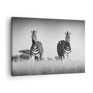 Impression sur toile - Image sur toile - Deux zèbres dans la savane dans un style monochrome - 70x50cm - Le monde est bel et bien noir et blanc - Décoration murale moderne pour le salon et la chambre ARTTOR