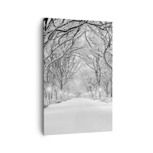 Impression sur toile - Image sur toile - Une allée d'hiver avec des arbres enneigés en monochrome - 80x120cm - Les quatres saisons – l’hiver - Décoration murale moderne pour le salon et la chambre ARTTOR